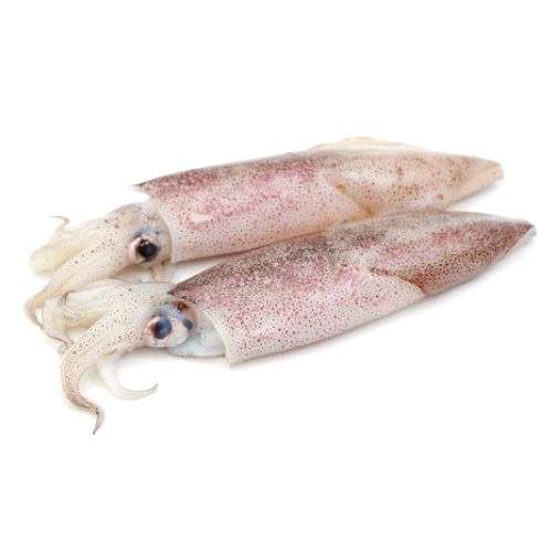 Calamars