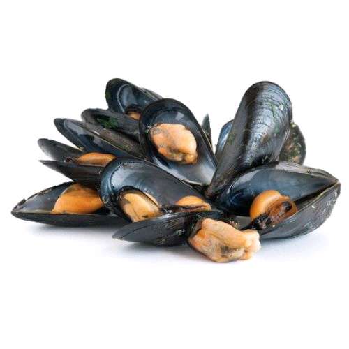 Moules avec coques
