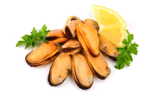 Moules décortiquées