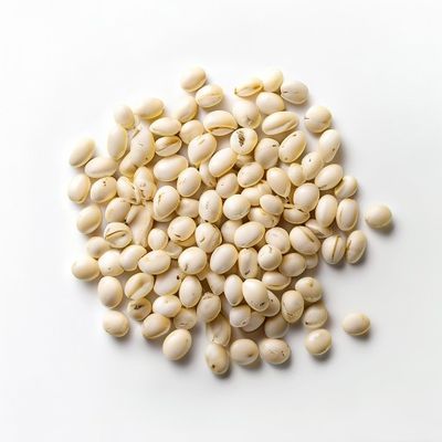 Haricot blanc