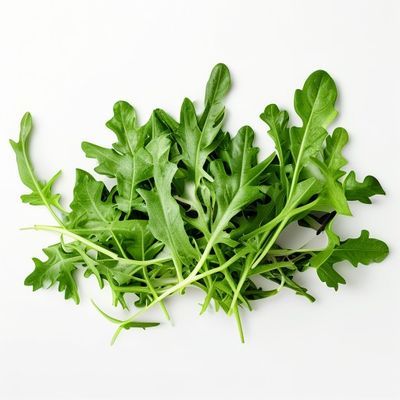 Roquette