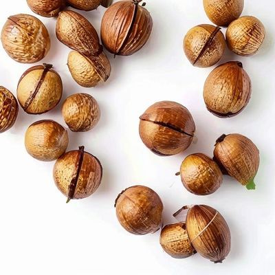 Noisettes