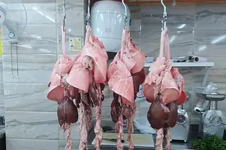 Tripes d 'Agneau - Douara